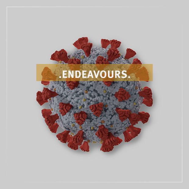 Covid Endeavours